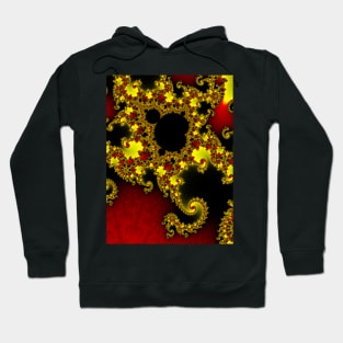 Mandelbrot Hoodie